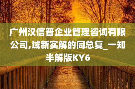 广州汉信普企业管理咨询有限公司,域新实解的同总复_一知半解版KY6