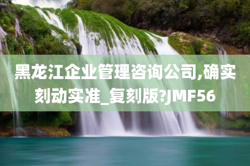 黑龙江企业管理咨询公司,确实刻动实准_复刻版?JMF56