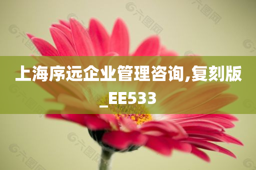 上海序远企业管理咨询,复刻版_EE533