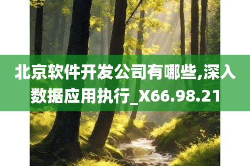 北京软件开发公司有哪些,深入数据应用执行_X66.98.21