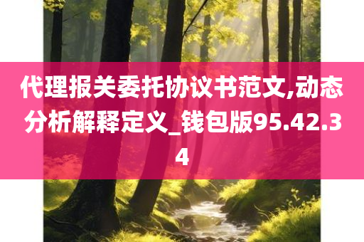 代理报关委托协议书范文,动态分析解释定义_钱包版95.42.34