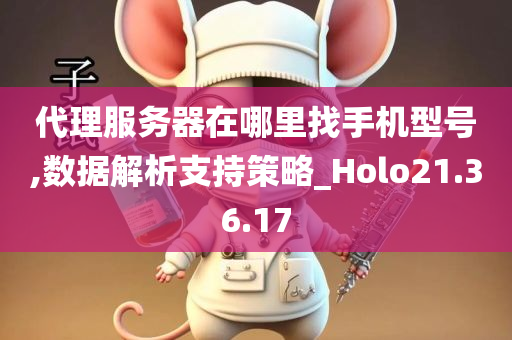 代理服务器在哪里找手机型号,数据解析支持策略_Holo21.36.17