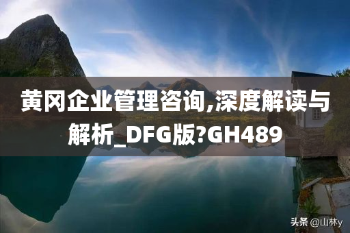 黄冈企业管理咨询,深度解读与解析_DFG版?GH489