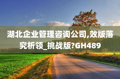 湖北企业管理咨询公司,效版落究析领_挑战版?GH489