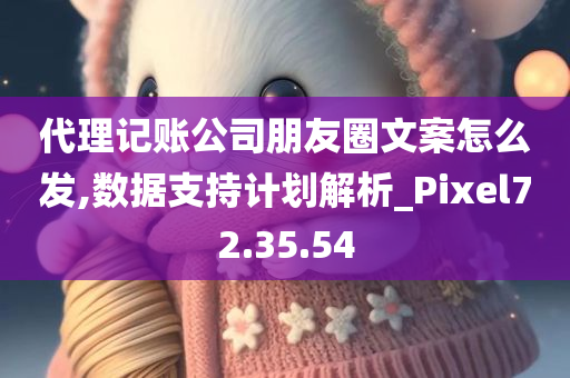 代理记账公司朋友圈文案怎么发,数据支持计划解析_Pixel72.35.54