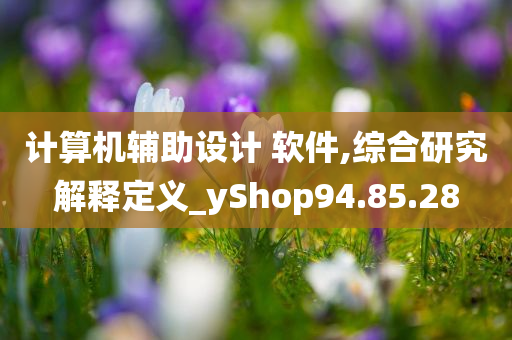 计算机辅助设计 软件,综合研究解释定义_yShop94.85.28