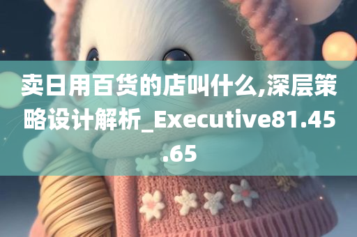 卖日用百货的店叫什么,深层策略设计解析_Executive81.45.65