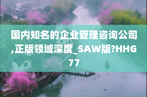 国内知名的企业管理咨询公司,正版领域深度_SAW版?HHG77