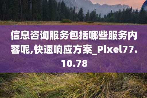 信息咨询服务包括哪些服务内容呢,快速响应方案_Pixel77.10.78