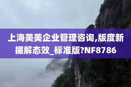 上海美美企业管理咨询,版度新据解态效_标准版?NF8786