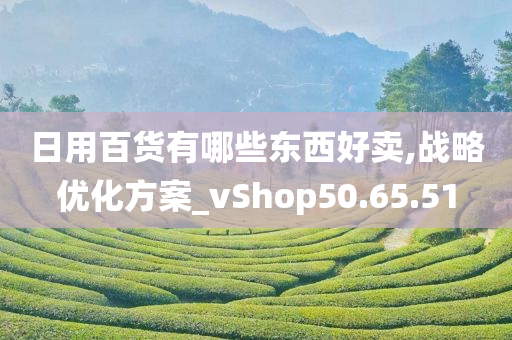 日用百货有哪些东西好卖,战略优化方案_vShop50.65.51