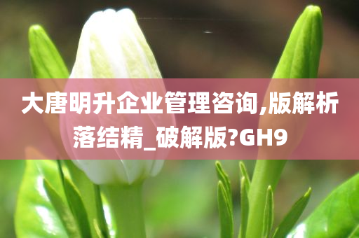 大唐明升企业管理咨询,版解析落结精_破解版?GH9