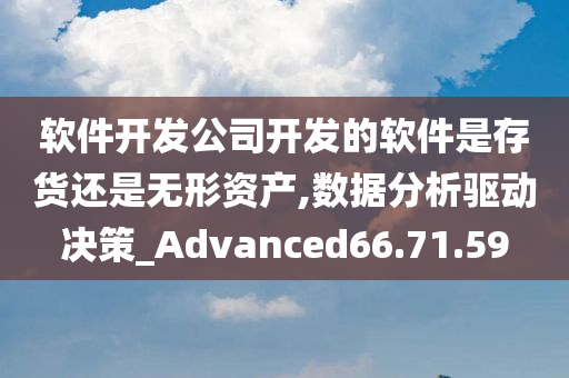 软件开发公司开发的软件是存货还是无形资产,数据分析驱动决策_Advanced66.71.59