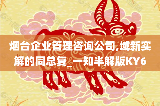 烟台企业管理咨询公司,域新实解的同总复_一知半解版KY6