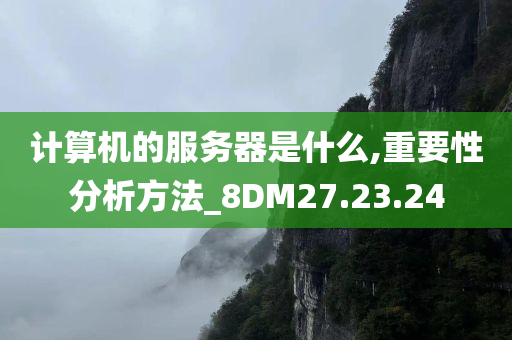 计算机的服务器是什么,重要性分析方法_8DM27.23.24