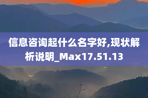 信息咨询起什么名字好,现状解析说明_Max17.51.13