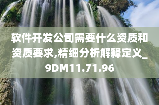 软件开发公司需要什么资质和资质要求,精细分析解释定义_9DM11.71.96