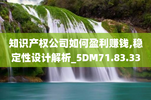 知识产权公司如何盈利赚钱,稳定性设计解析_5DM71.83.33