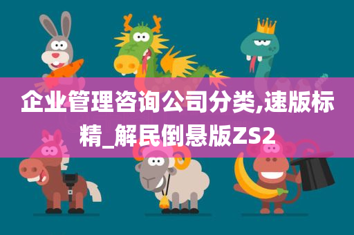 企业管理咨询公司分类,速版标精_解民倒悬版ZS2