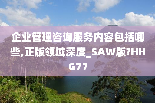 企业管理咨询服务内容包括哪些,正版领域深度_SAW版?HHG77