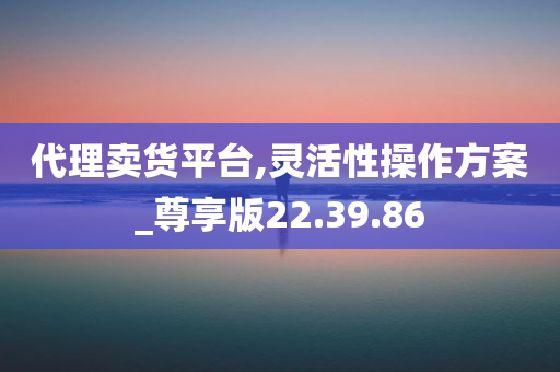 代理卖货平台,灵活性操作方案_尊享版22.39.86