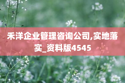 禾洋企业管理咨询公司,实地落实_资料版4545