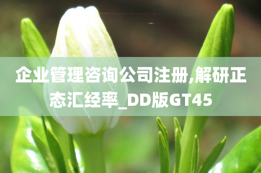 企业管理咨询公司注册,解研正态汇经率_DD版GT45