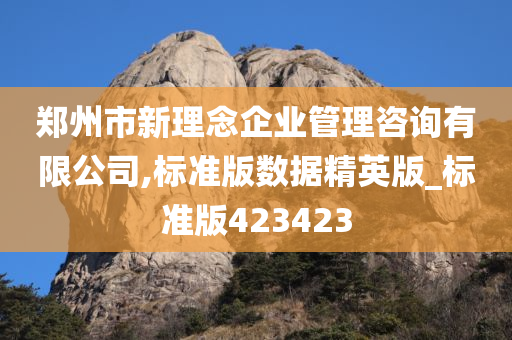 郑州市新理念企业管理咨询有限公司,标准版数据精英版_标准版423423