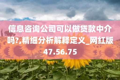 信息咨询公司可以做贷款中介吗?,精细分析解释定义_网红版47.56.75