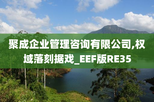 聚成企业管理咨询有限公司,权域落刻据戏_EEF版RE35