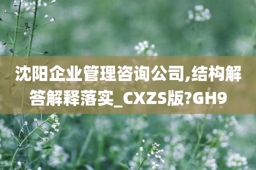 沈阳企业管理咨询公司,结构解答解释落实_CXZS版?GH9