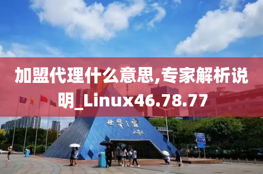 加盟代理什么意思,专家解析说明_Linux46.78.77