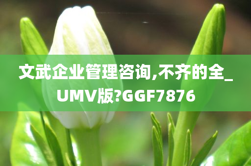 文武企业管理咨询,不齐的全_UMV版?GGF7876