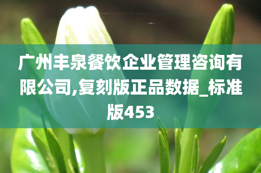 广州丰泉餐饮企业管理咨询有限公司,复刻版正品数据_标准版453