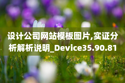 设计公司网站模板图片,实证分析解析说明_Device35.90.81