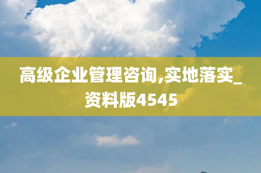 高级企业管理咨询,实地落实_资料版4545