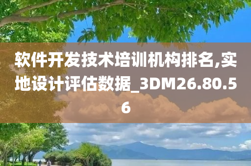 软件开发技术培训机构排名,实地设计评估数据_3DM26.80.56