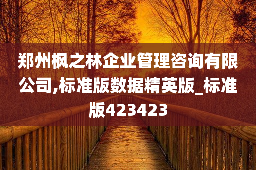 郑州枫之林企业管理咨询有限公司,标准版数据精英版_标准版423423