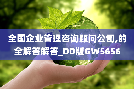 全国企业管理咨询顾问公司,的全解答解答_DD版GW5656