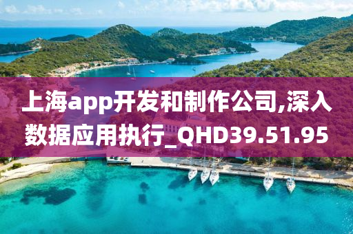 上海app开发和制作公司,深入数据应用执行_QHD39.51.95