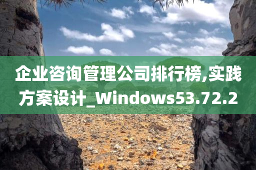 企业咨询管理公司排行榜,实践方案设计_Windows53.72.20