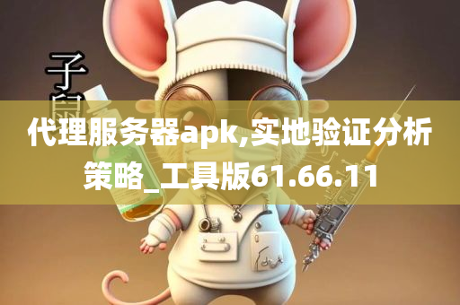 代理服务器apk,实地验证分析策略_工具版61.66.11