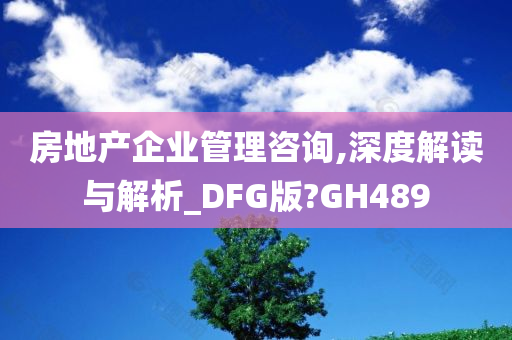 房地产企业管理咨询,深度解读与解析_DFG版?GH489