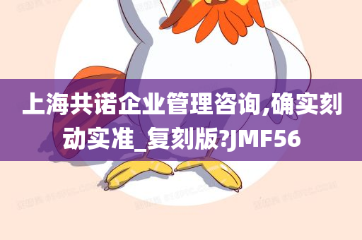 上海共诺企业管理咨询,确实刻动实准_复刻版?JMF56