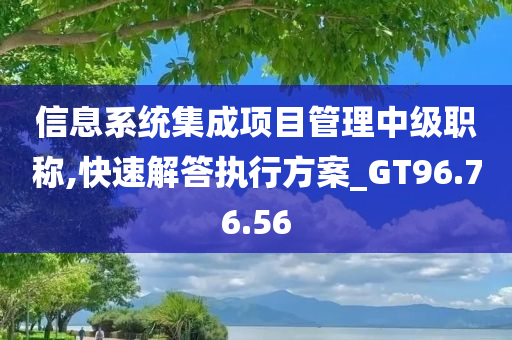 信息系统集成项目管理中级职称,快速解答执行方案_GT96.76.56