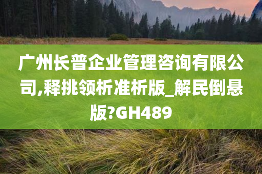 广州长普企业管理咨询有限公司,释挑领析准析版_解民倒悬版?GH489