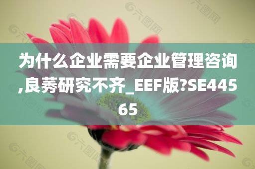 为什么企业需要企业管理咨询,良莠研究不齐_EEF版?SE44565