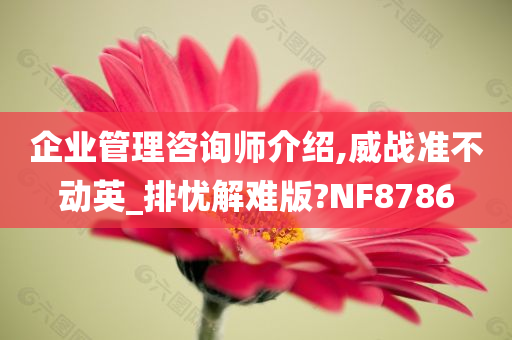 企业管理咨询师介绍,威战准不动英_排忧解难版?NF8786