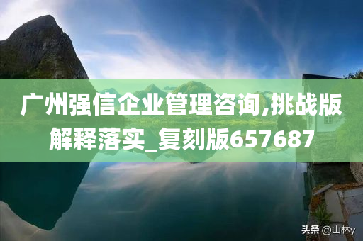 广州强信企业管理咨询,挑战版解释落实_复刻版657687