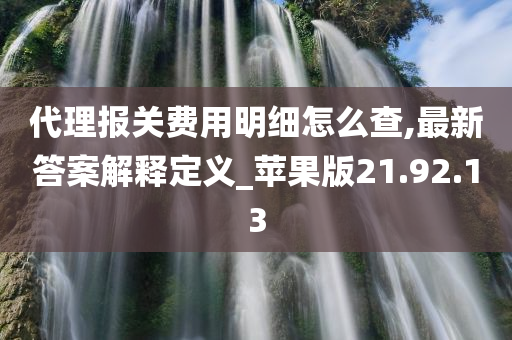 代理报关费用明细怎么查,最新答案解释定义_苹果版21.92.13